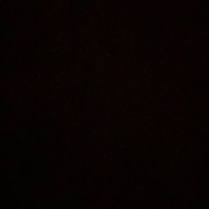 Meet your Posher, Tyrus